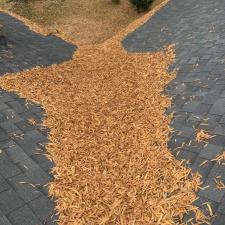 Second Story Gutters Cleaned in Memphis, TN 1